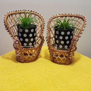 Polka Dot Planters with Wicker Stands